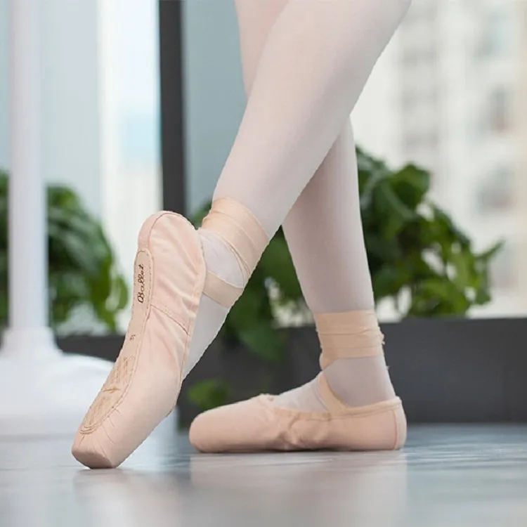 Ballet Lace Pointe Shoes Professional Flat Dance Shoes, Size: 36(Satin Nude)