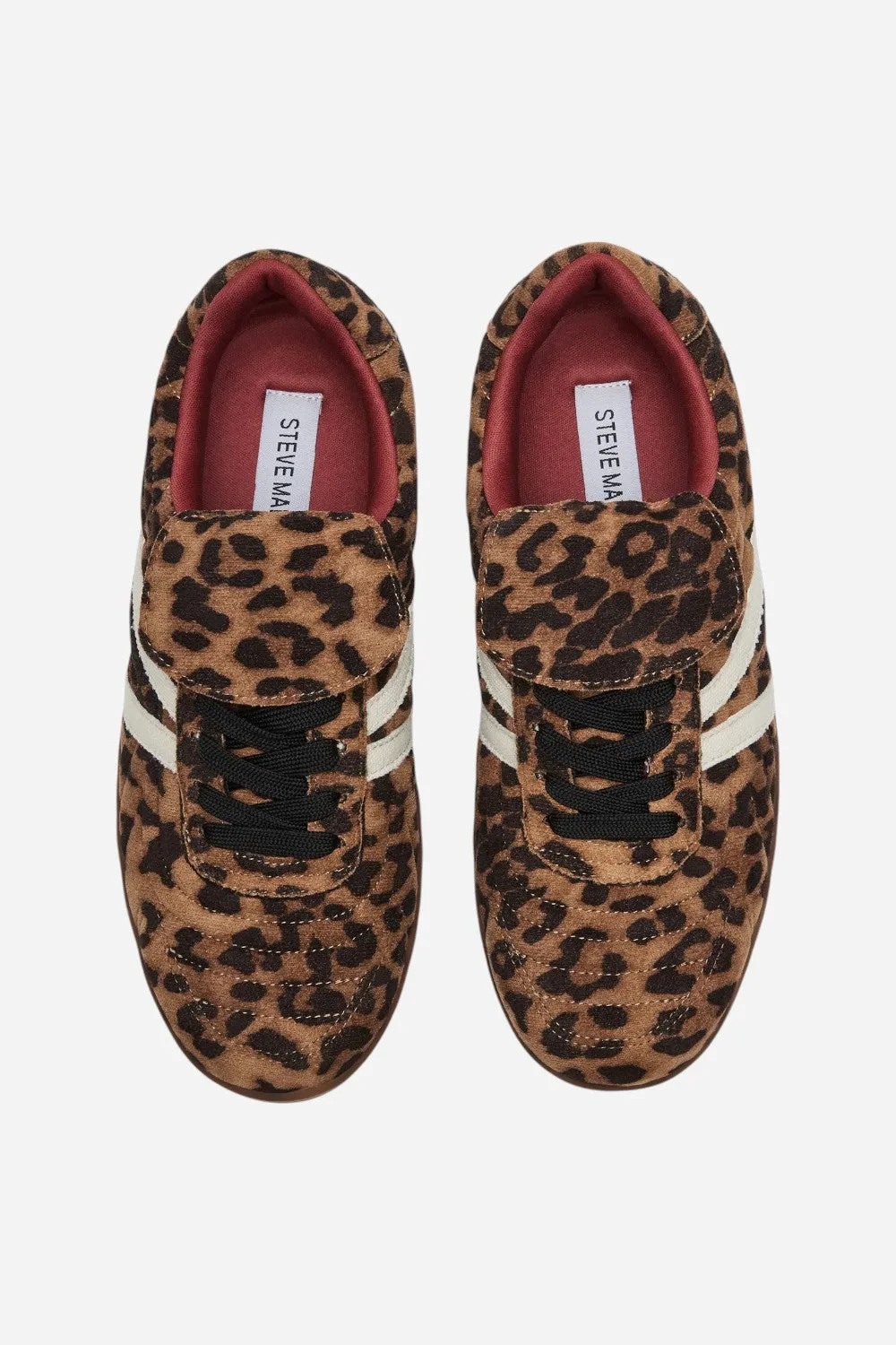 Steve Madden Madrid Leopard Low-Top Sneaker